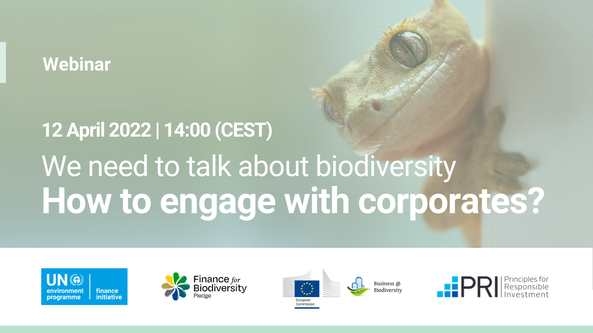 Finance for Biodiversity April Webinar Engagement