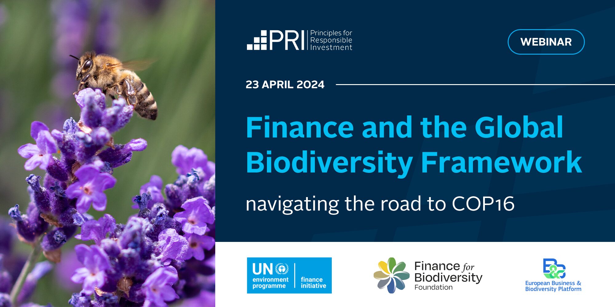 Join our webinar ´Finance and the Global Biodiversity Framework ...