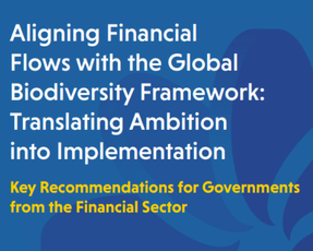 Public policy recommendations