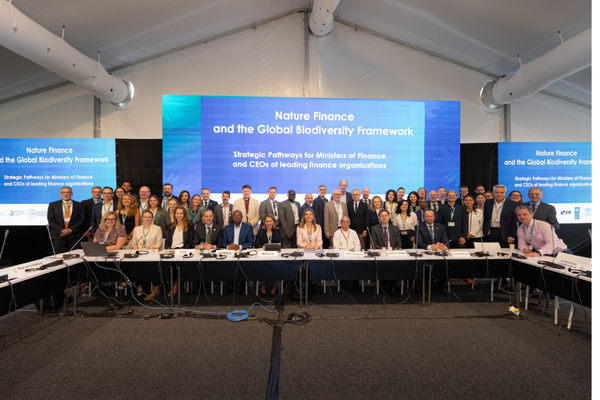 COP16: We co-organise high- level CEO-ministers meetings and the Finance & Biodiversity Pavillion