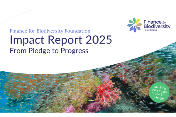 Our first Impact Report