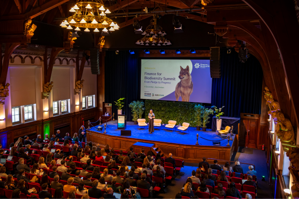 Celebrating 5 years of the Pledge at the first FfB Summit