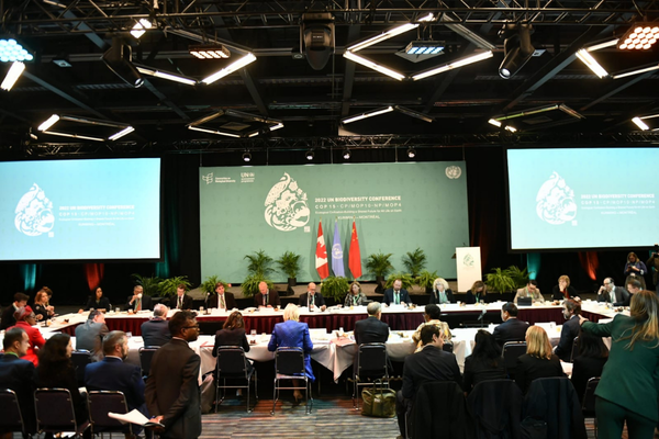 COP15: We lead the first finance delegation to a CBD COP