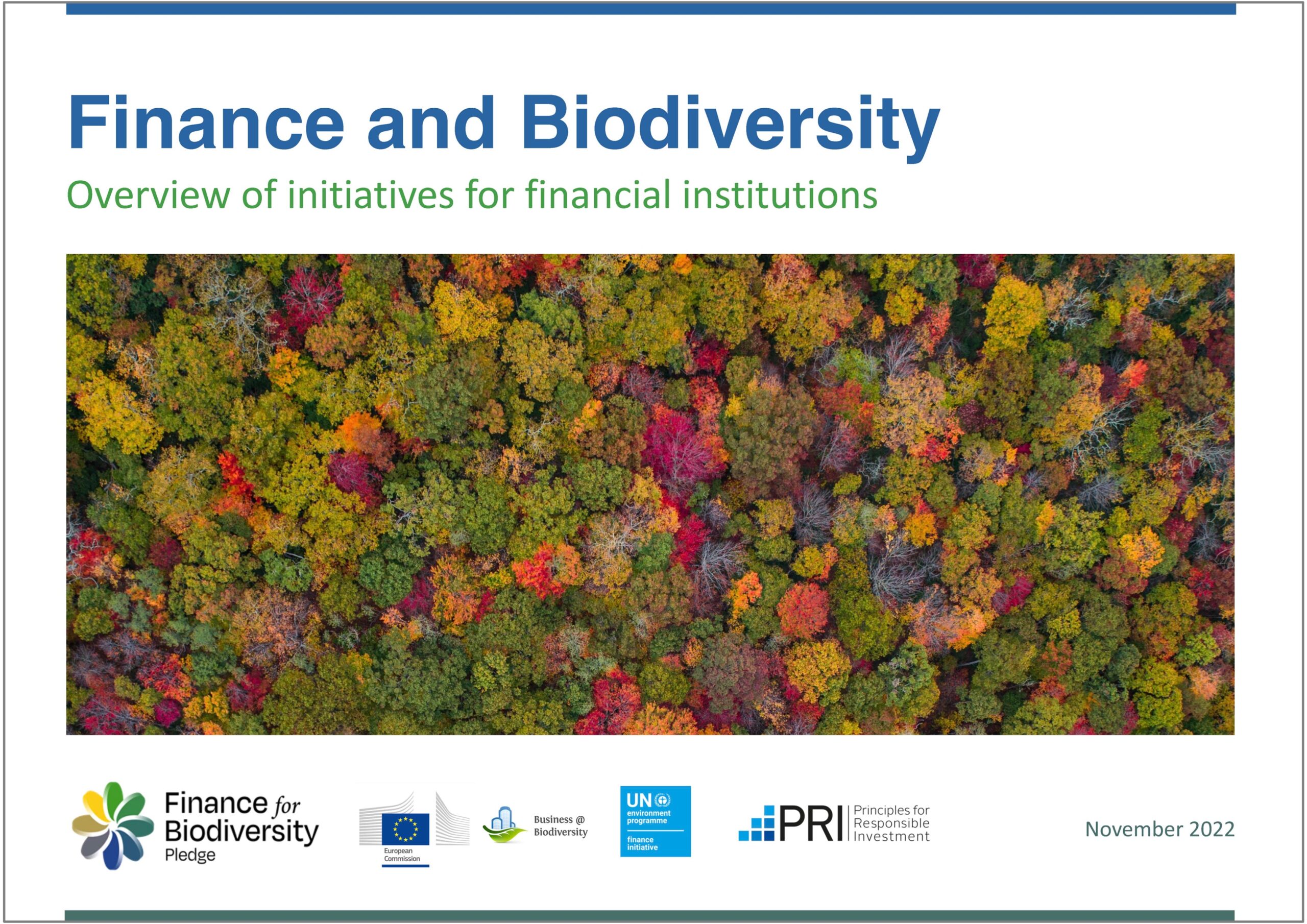Cover-Finance_and_Biodiversity_Overview_of_Initiatives_November2022