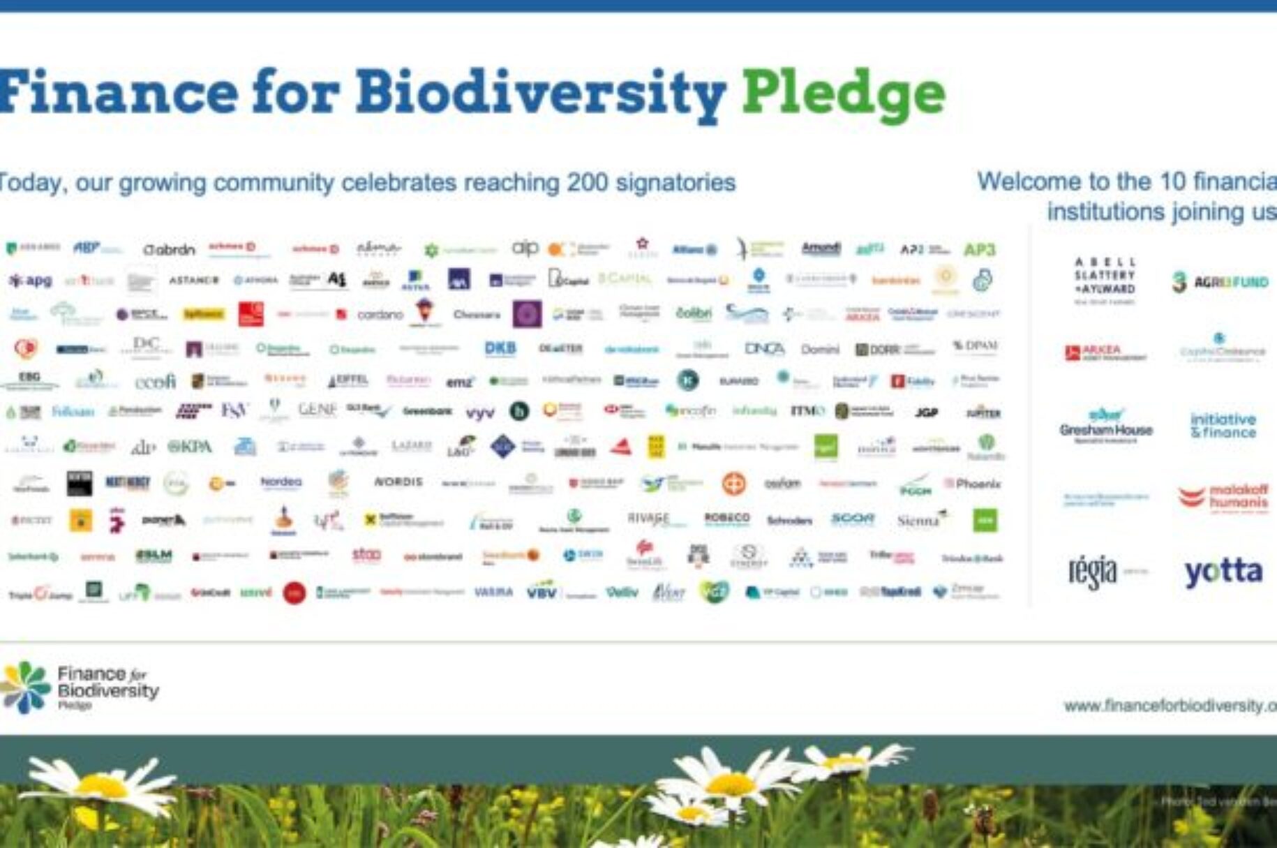 Home - Finance for Biodiversity Foundation