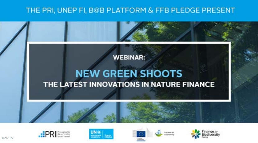 FfB New Green Shoots Webinar