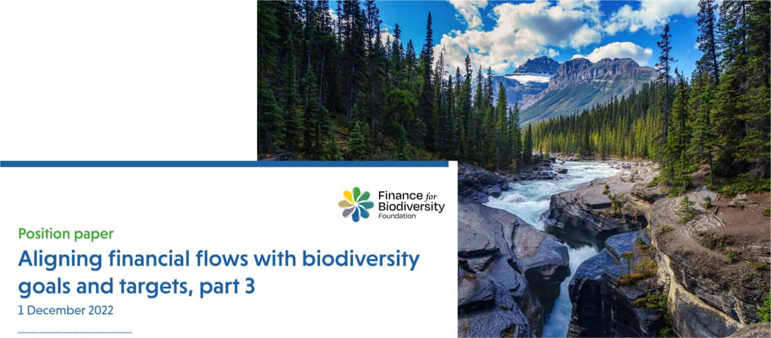 Finance for biodiversity foundation activities at cop15 finance for