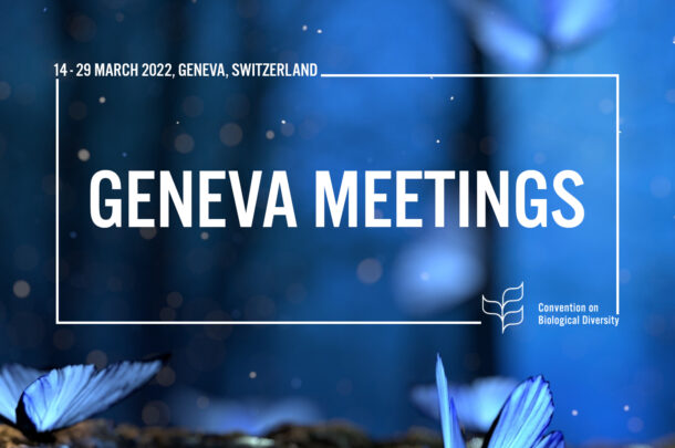 Geneva_Meeting.jpg